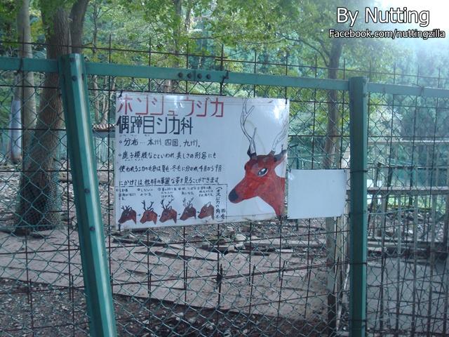 DSC03993.JPG